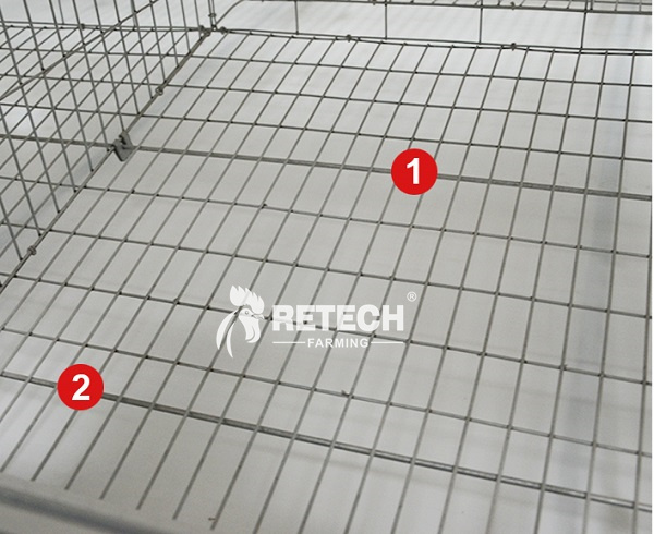 modern design chicken cage