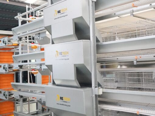 automatic feeding system