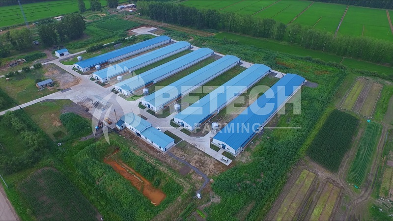 steel structure chicken house